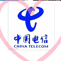 中國電信滕州公司