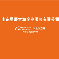 山東星辰大海企業服務有限公司